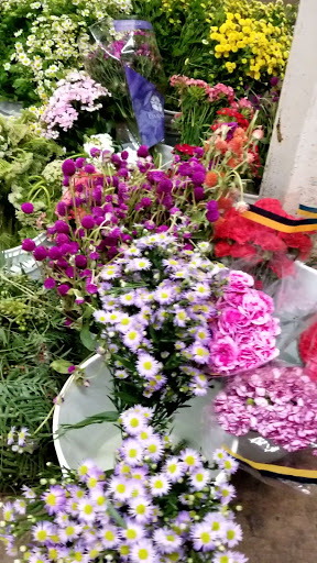 Wholesale Florist «Travis Wholesale Florists», reviews and photos, 240 W Josephine St, San Antonio, TX 78212, USA