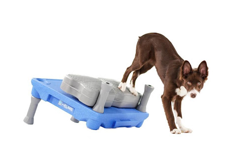 Pet Supply Store «J & J Dog Supplies», reviews and photos, 975 Ford St, Colorado Springs, CO 80915, USA