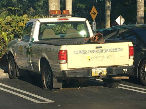 Park «Evelyn Greer Park», reviews and photos, 8200 SW 124th St, Pinecrest, FL 33156, USA