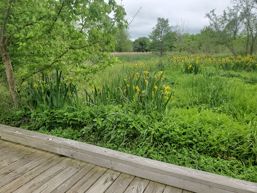 Park «Owl Creek Park», reviews and photos, 9751 Concord Rd, Brentwood, TN 37027, USA