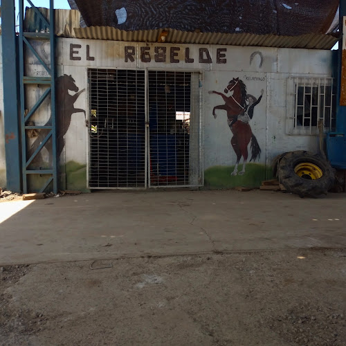 Vulcanización el rebelde - Tienda de neumáticos