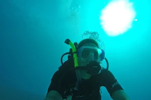 Scuba Diving Hawaii image