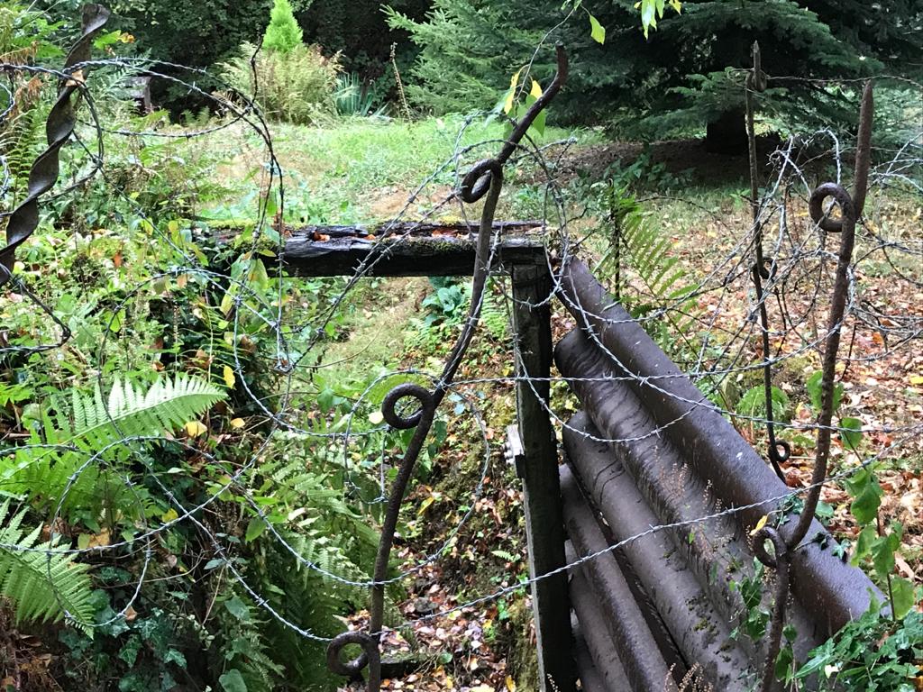 Photo n° 20 de l'avis de chiel.o fait le 26/09/2020 à 12:37
