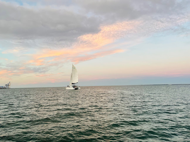 Comentários e avaliações sobre o Nosso Tejo - Lisbon Traditional Boats