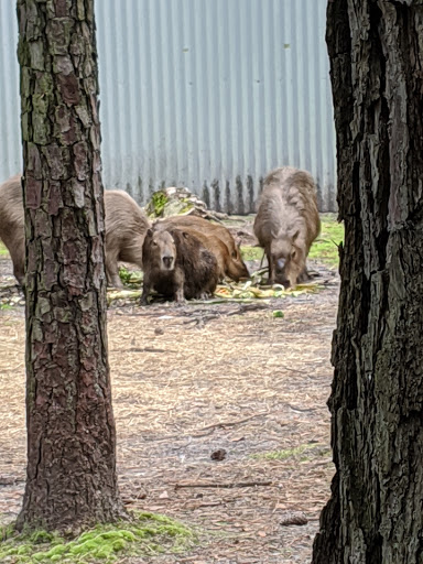 Zoo «Tregembo Animal Park», reviews and photos, 5811 Carolina Beach Rd, Wilmington, NC 28412, USA