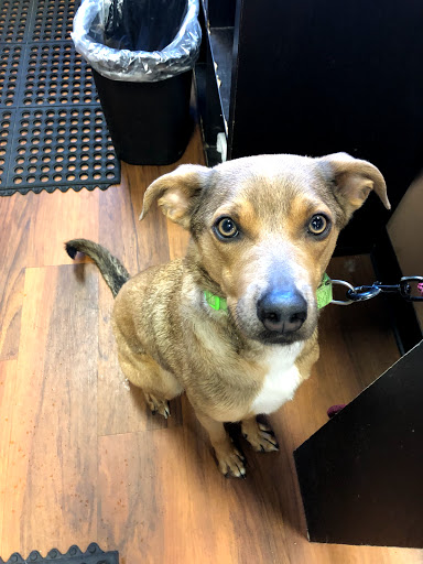 Pet Store «Pet Valu», reviews and photos, 2290 Central Park Ave, Yonkers, NY 10701, USA