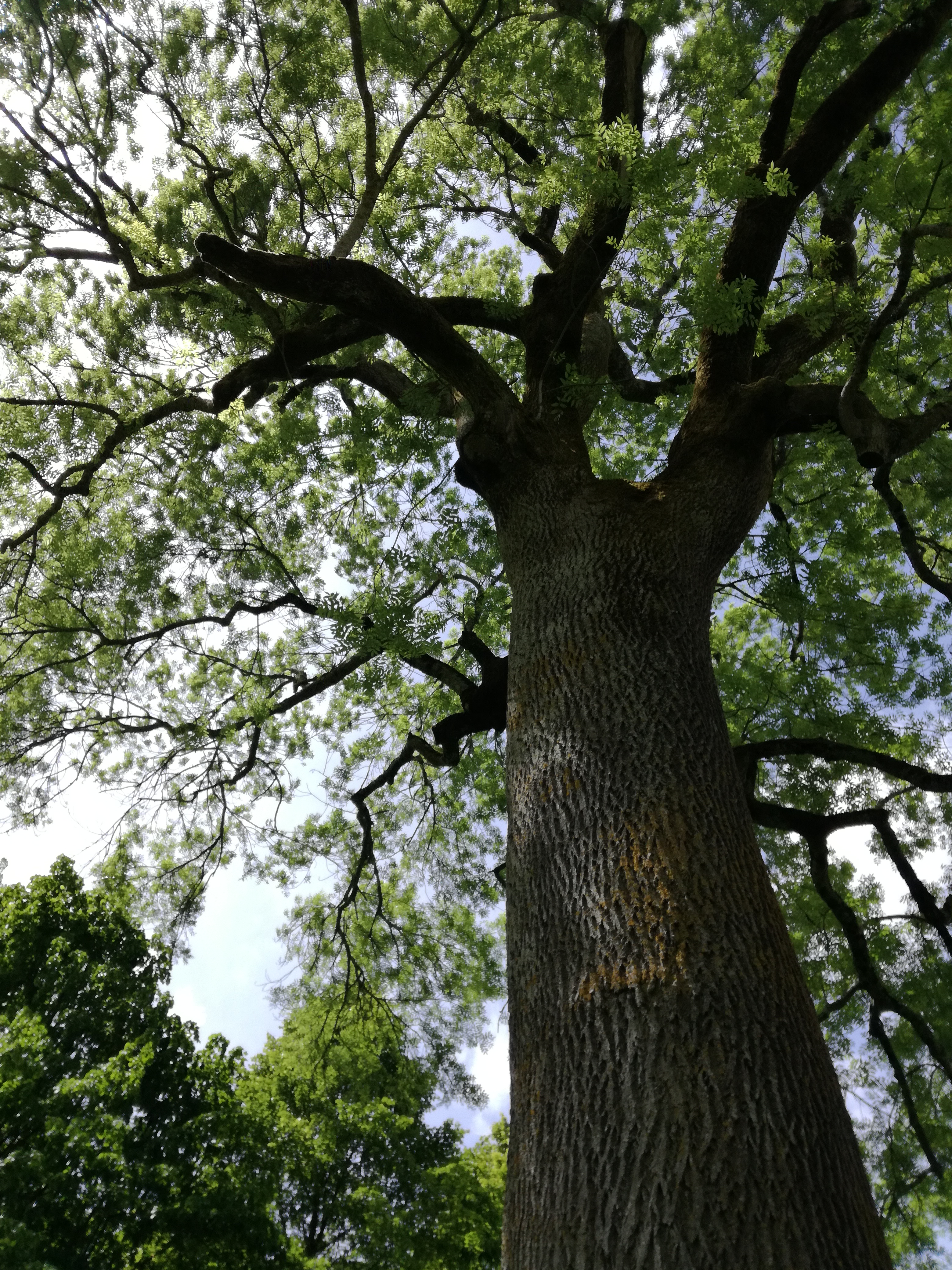 Photo n° 5 de l'avis de Valérie.A fait le 28/05/2021 à 11:04