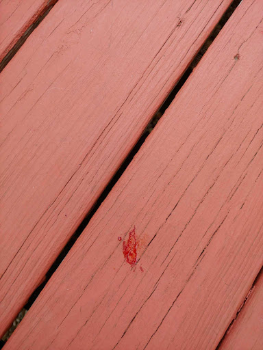 Pet Supply Store «PetSmart», reviews and photos, 4824 211th St, Matteson, IL 60443, USA