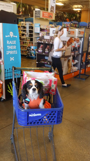 Pet Supply Store «PetSmart», reviews and photos, 4794 Jimmy Lee Smith Pkwy #108, Hiram, GA 30141, USA