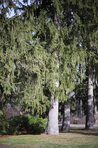 Park «Greycourt State Park», reviews and photos, 37 Pleasant St, Methuen, MA 01844, USA