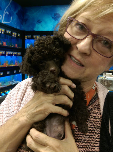 Pet Supply Store «PetSmart», reviews and photos, 1391 S Commons Dr, Myrtle Beach, SC 29588, USA