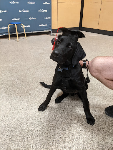 Pet Supply Store «PetSmart», reviews and photos, 32962 FM 2978 Rd, Magnolia, TX 77354, USA