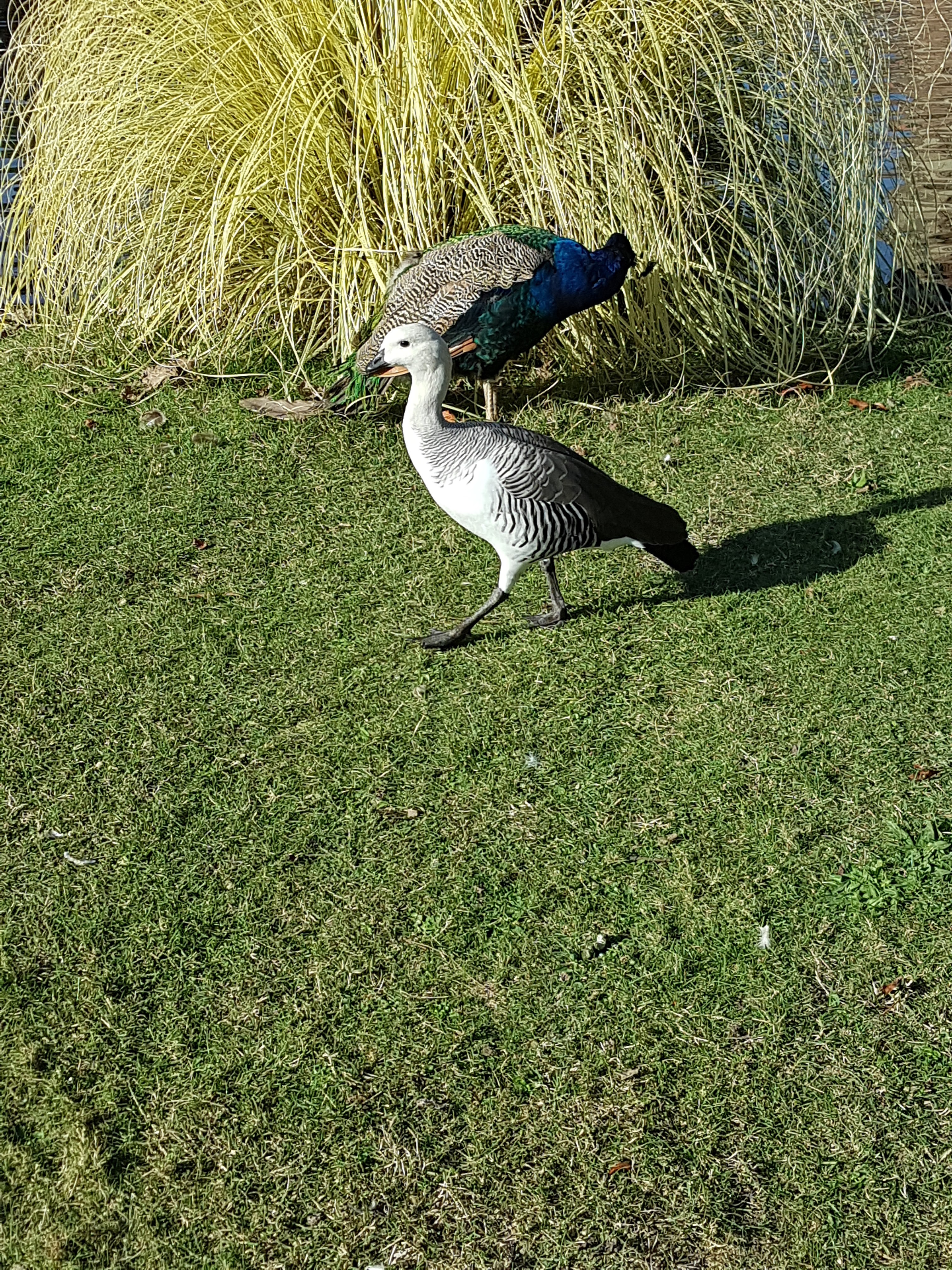 Photo n° 3 de l'avis de Kath.o fait le 03/11/2018 à 15:53