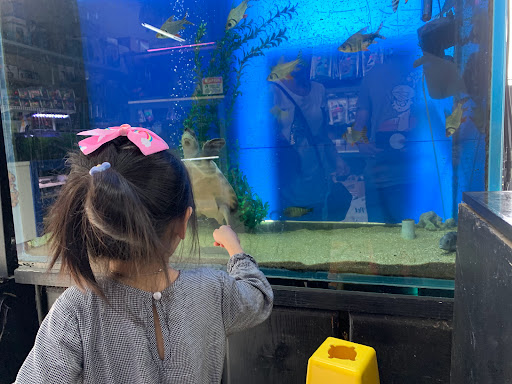 Tropical Fish Store «Xtreme Fish & Pets», reviews and photos, 11415 Bellaire Blvd # A, Houston, TX 77072, USA