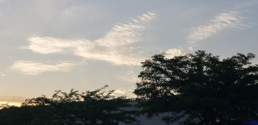 Department Store «Walmart Supercenter», reviews and photos, 890 E Main St, Ephrata, PA 17522, USA