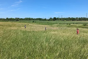 East Branch Forest Preserve image