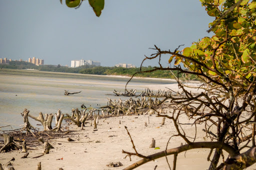 Nature Preserve «San Carlos Bay - Bunche Beach Preserve», reviews and photos, 18201 John Morris Rd, Fort Myers, FL 33908, USA