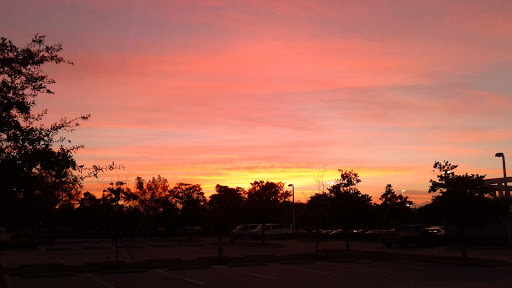 Marine Supply Store «West Marine», reviews and photos, 2401 S Andrews Ave, Fort Lauderdale, FL 33316, USA