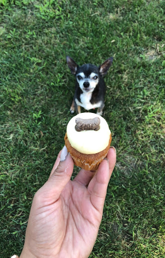 Cupcake Shop «Smallcakes: A Cupcakery of Naperville», reviews and photos, 115 E Ogden Ave #119, Naperville, IL 60563, USA