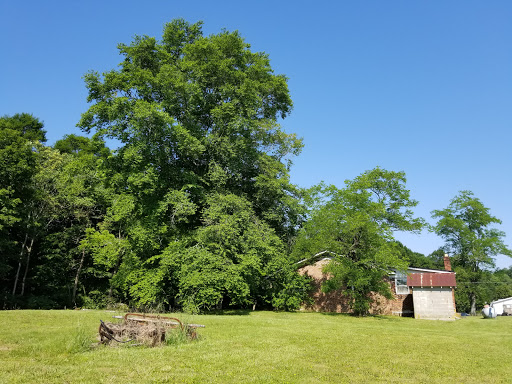 Department Store «Walmart Supercenter», reviews and photos, 1801 IN-57, Washington, IN 47501, USA