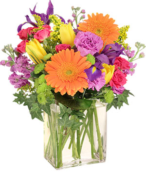 Florist «Davis Floral Designs», reviews and photos, 6500 Denton Hwy A-5, Fort Worth, TX 76148, USA