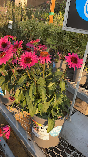 Home Improvement Store «The Home Depot», reviews and photos, 43900 Ice House Terrace, Fremont, CA 94538, USA