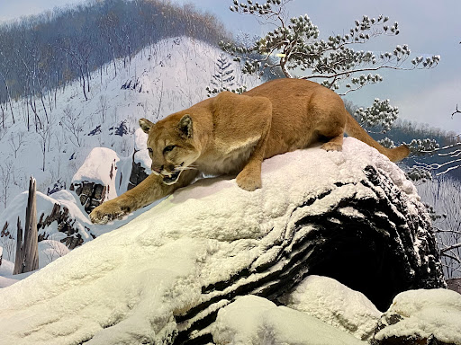 History Museum «The State Museum of Pennsylvania», reviews and photos, 300 North St, Harrisburg, PA 17120, USA