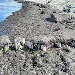 Photo n°1 de l'avis de Rainer.c fait le 15/08/2023 à 13:36 sur le  Kühlungsborn Strand Ost Europa Hotel à Kühlungsborn