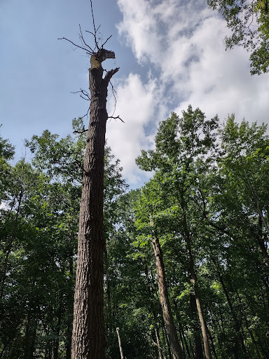 Park «Cleveland Metroparks», reviews and photos, 1969 W Ridgewood Dr, Cleveland, OH 44134, USA