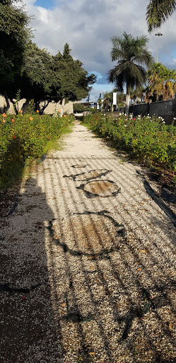 Ayuntamiento de las Palmas