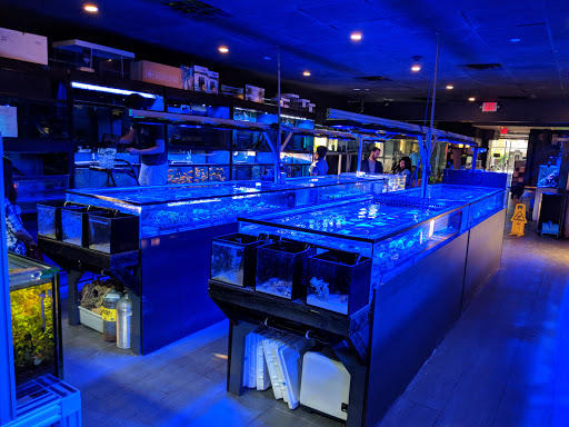 Tropical Fish Store «Manhattan Aquariums», reviews and photos, 522 W 37th St, New York, NY 10018, USA