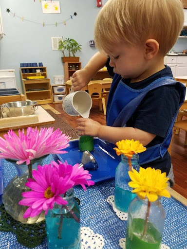 Montessori School «The Nurtury Montessori School», reviews and photos, 3812 Riverland Rd, Fort Lauderdale, FL 33312, USA