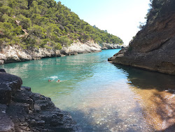 Cala della Sanguinara Beach'in fotoğrafı vahşi alan