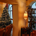 Photo n°2 de l'avis de Aldo.e fait le 15/12/2023 à 08:34 sur le  Hotel Bologna à Pisa