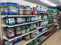 Goody's True Value Hardware - Photo 7 - Car repair in East Haven, CT, New Haven