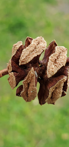 Brewery «Constitution Yards», reviews and photos, 308 Justison St, Wilmington, DE 19801, USA