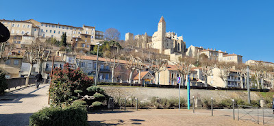Cias Grand Auch Coeur De Gascogne à Auch