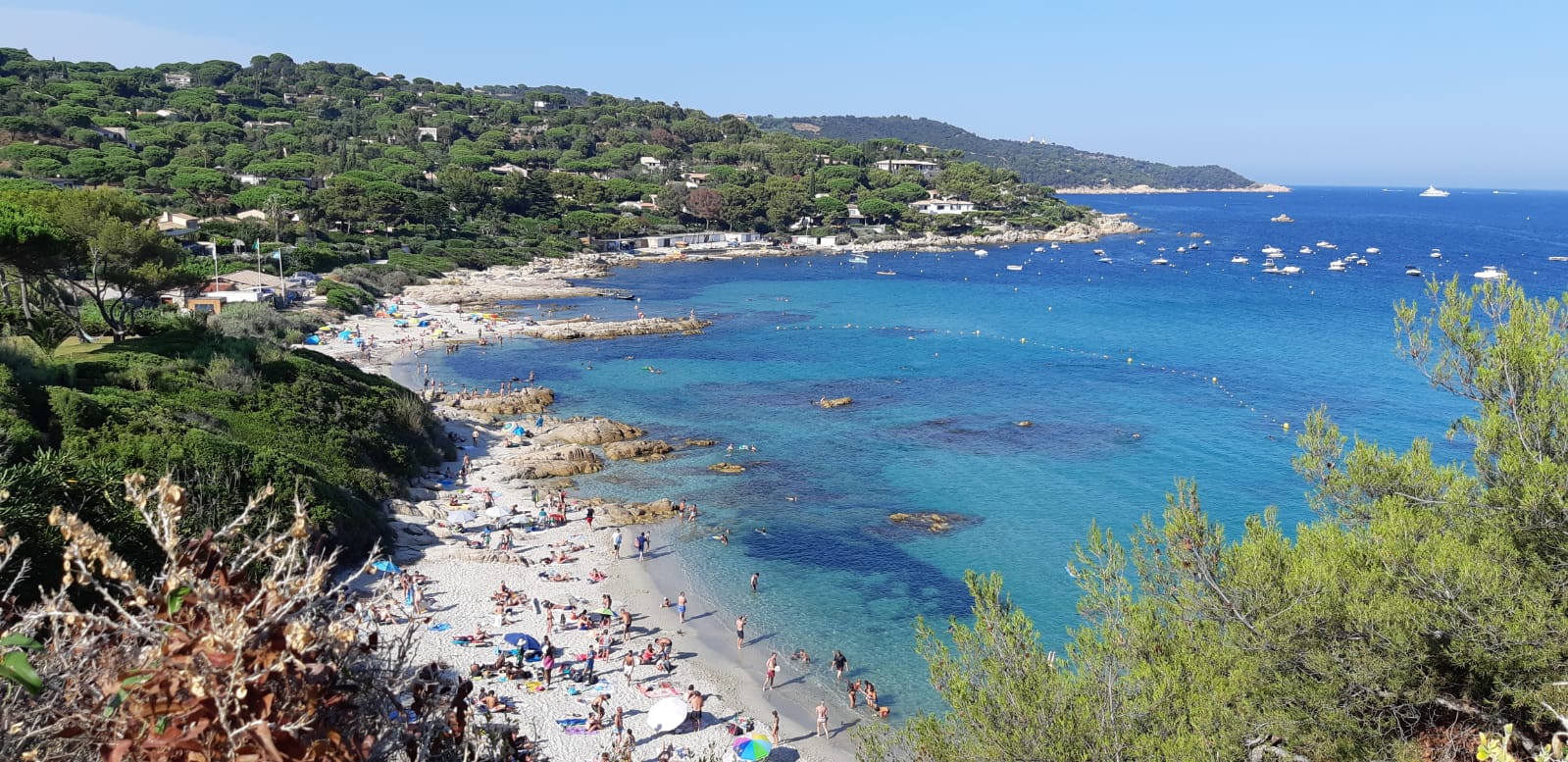 Photo n° 2 de l'avis de Massimo. fait le 19/08/2019 à 16:45