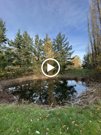 Park «Waterworks Gardens», reviews and photos, Oakesdale Ave SW, Renton, WA 98057, USA