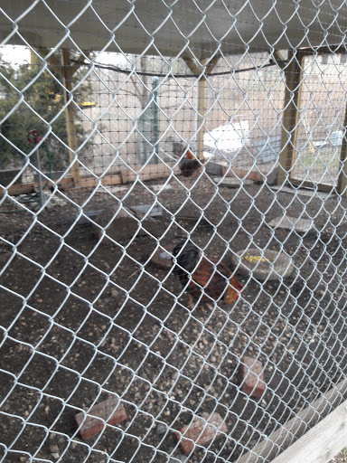 Golf Course «Merrick Golf Course», reviews and photos, 2550 Clubhouse Rd #1, Merrick, NY 11566, USA