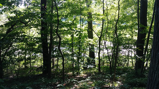 Hotel «Wylie Inn and Conference Center», reviews and photos, 295 Hale St, Beverly, MA 01915, USA