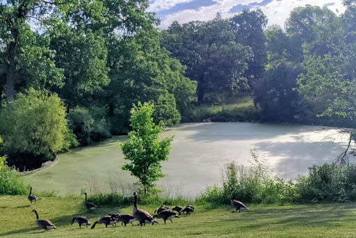 Nature Preserve «Lakewood Forest Preserve», reviews and photos, 27277 N Forest Preserve Rd, Wauconda, IL 60084, USA