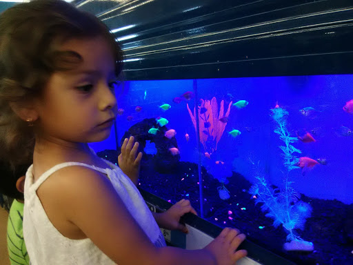 Pet Supply Store «Petco Animal Supplies», reviews and photos, 3426 Highland Ave B, National City, CA 91950, USA