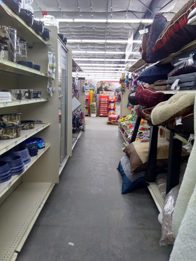 Home Improvement Store «Tractor Supply Co.», reviews and photos, 1161 Broadway, Bangor, ME 04401, USA