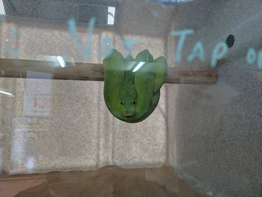 Reptile Store «La Habra Pets», reviews and photos, 1919 W La Habra Blvd, La Habra, CA 90631, USA