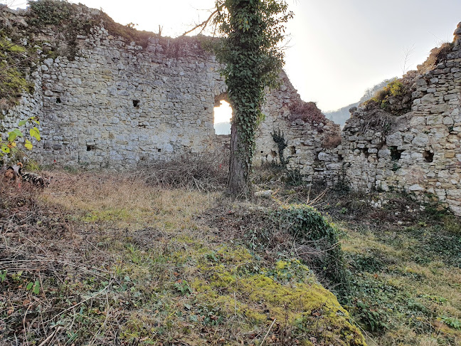 Kommentare und Rezensionen über Ruine Neu Schauenburg