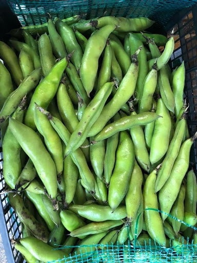 Grocery Store «International Halal Supermarket», reviews and photos, 5057 Poplar Level Rd #1, Louisville, KY 40219, USA