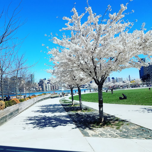 Park «Gantry Plaza State Park», reviews and photos, 4-09 47th Rd, Long Island City, NY 10007, USA