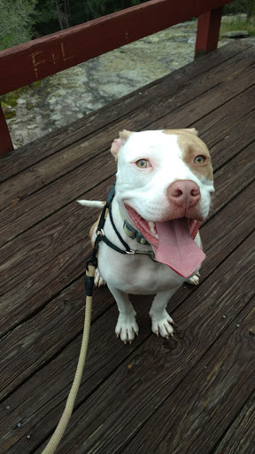 State Park «Panola Mountain State Park», reviews and photos, 2620 GA-155 N, Stockbridge, GA 30281, USA