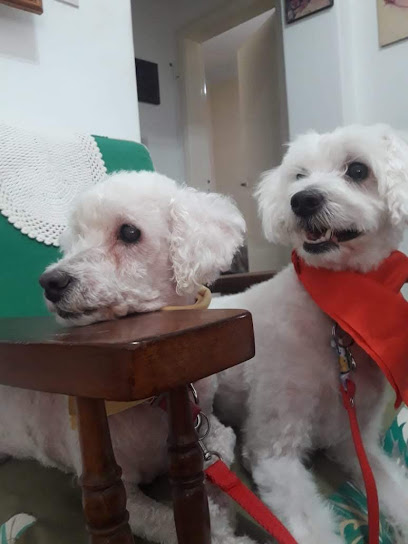 Puppies Spa & Coiffeur Canino Sucursal San Martin